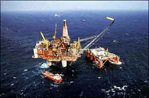 Deep-Sea Oil Platforms May Aid Sea Life: Study