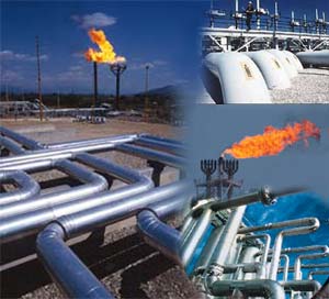 هامانه: گاز، درسه سال آینده زمینه ساز توسعه اقتصادی شرق کشور خواهد شد 