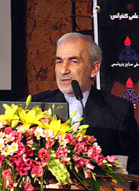 سرمایه گذاری 30 میلیارد دلاری پتروشیمی در عسلویه