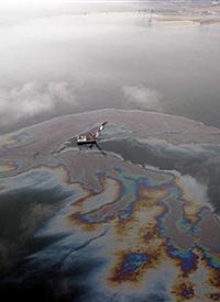 نشت نفت در دریا و اثرات زیست محیطی آن (1)