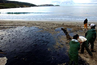 پاکسازی نشت نفتی خلیج مکزیک پس از چهار سال تمام شد