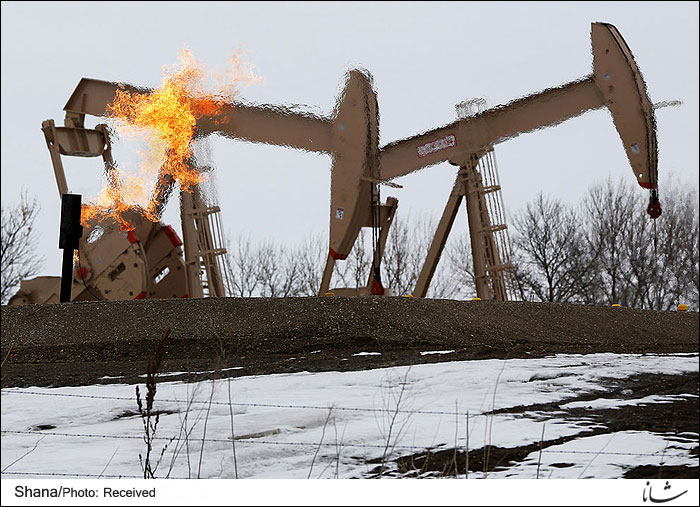 تولید نفت خام آمریکا کاهش می یابد