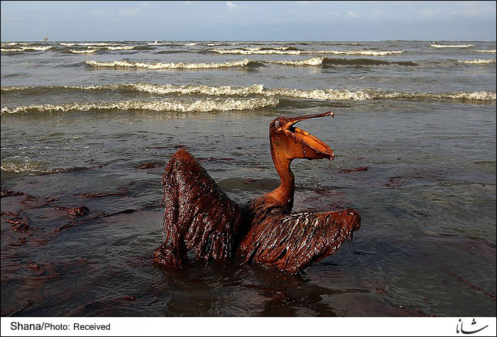 بی پی برای نشت نفت در خلیج مکزیک 18.7 میلیارد دلار جریمه می دهد