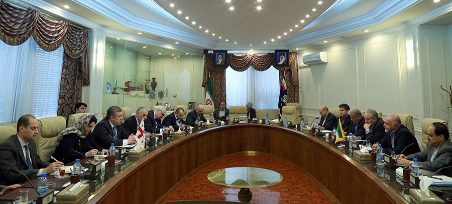دیدار وزیر نفت با معاون نخست وزیر گرجستان