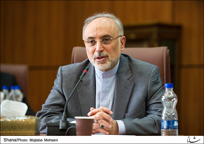 تولید 20 هزار مگاوات برق هسته‌ای در بلندمدت از اهداف ایران است