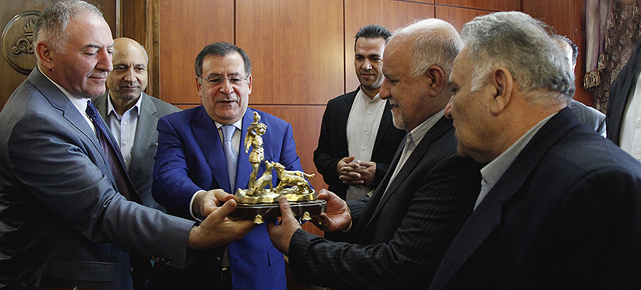 دیدار وزیر نفت ایران با وزیر انرژی و منابع طبیعی ارمنستان