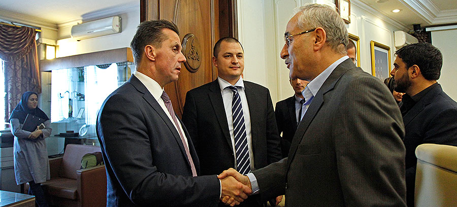 معاون امور بین الملل و بازرگانی وزیر نفت با سفیر کرواسی دیدار کرد