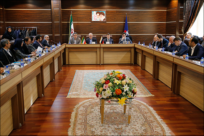 مذاکرات نفتی در تهران، کمیته انرژی در سن پطرزبورگ