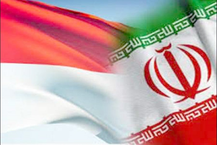 تمایل پرتامینا برای مشارکت در توسعه 2 میدان نفتی ایران