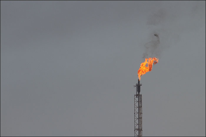 No South Pars Flaring by 2019