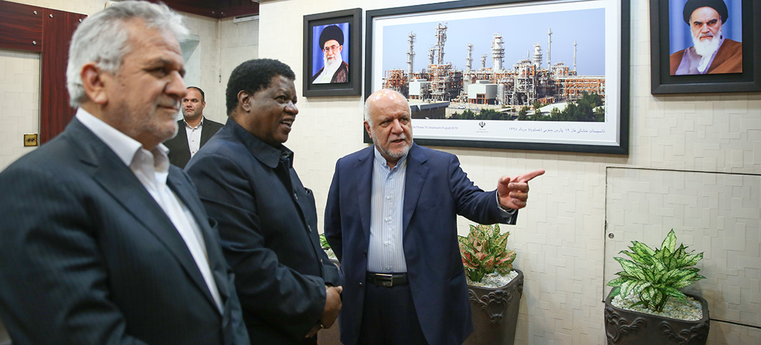 دیدار وزیر نفت ایران با وزیر اصلاحات ارضی نامیبیا
