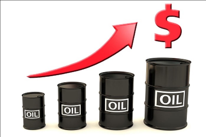 قیمت سبد نفتی اوپک در مرز ۶۵ دلار قرار گرفت