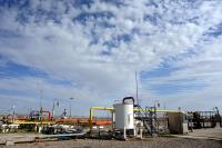 سرمایه‌گذاری در طرح توسعه ذخیره‌سازی گاز مخزن شوریجه D بررسی شد